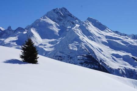 Apartament Le Studio D'Emma La Plagne Zewnętrze zdjęcie